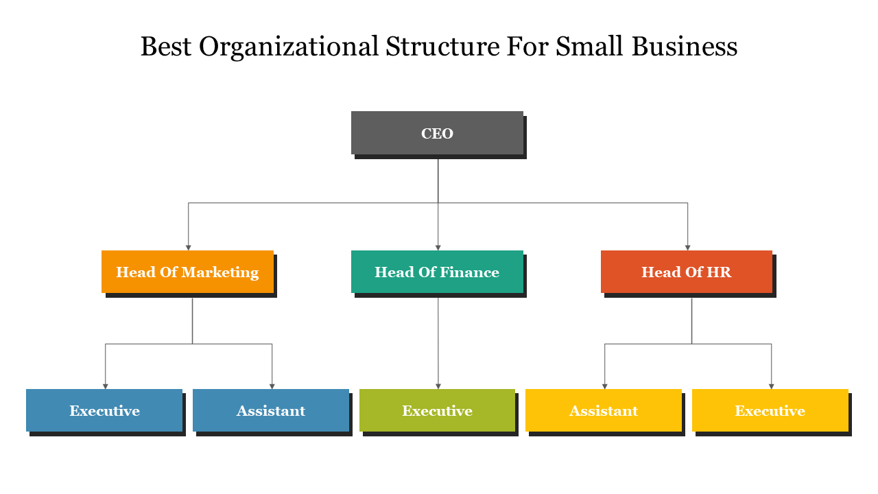 Colorful hierarchical organizational structure for small business featuring CEO, department heads, and supporting roles.