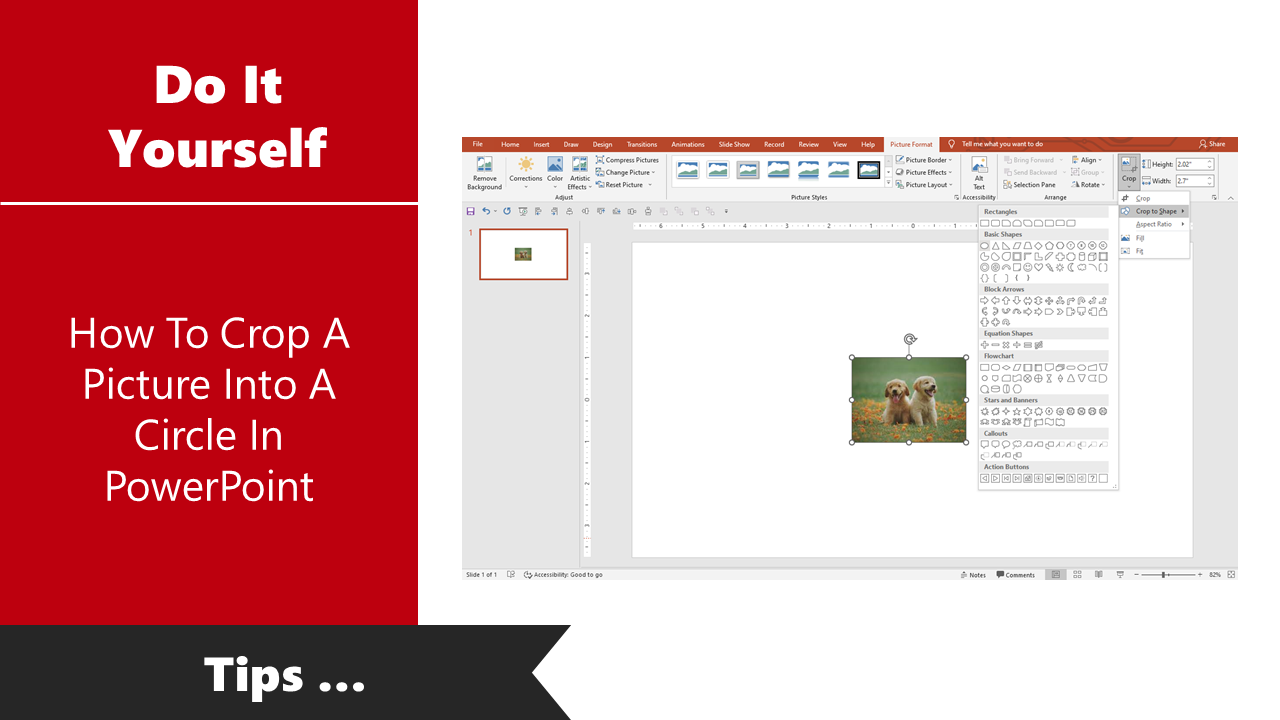 Guide showing how to crop an image into a circle shape in PowerPoint using the picture format options.