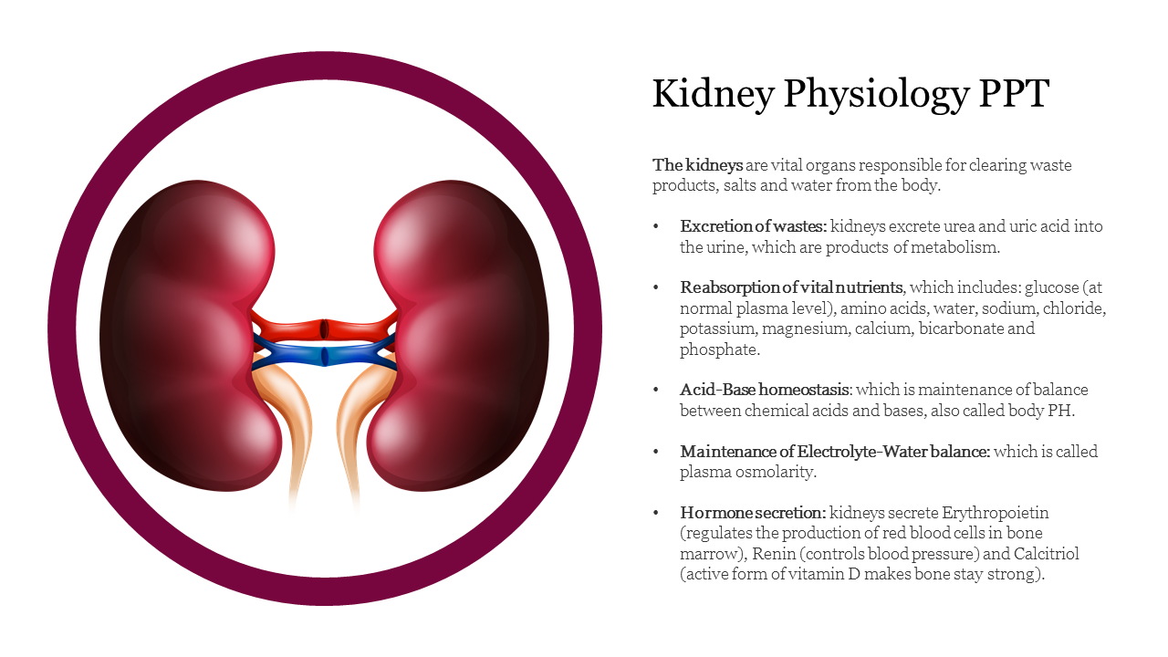 Illustration of two kidneys connected by vessels in a circular frame, with text on the right.