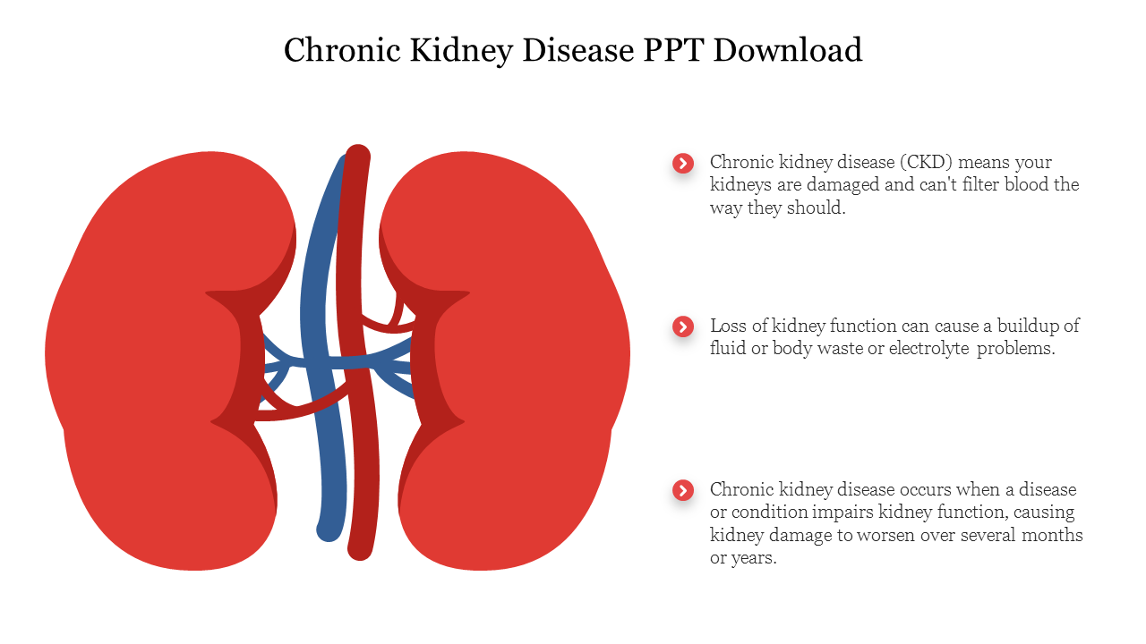 Chronic kidney disease slide showing a diagram of kidneys with three key facts on the right.