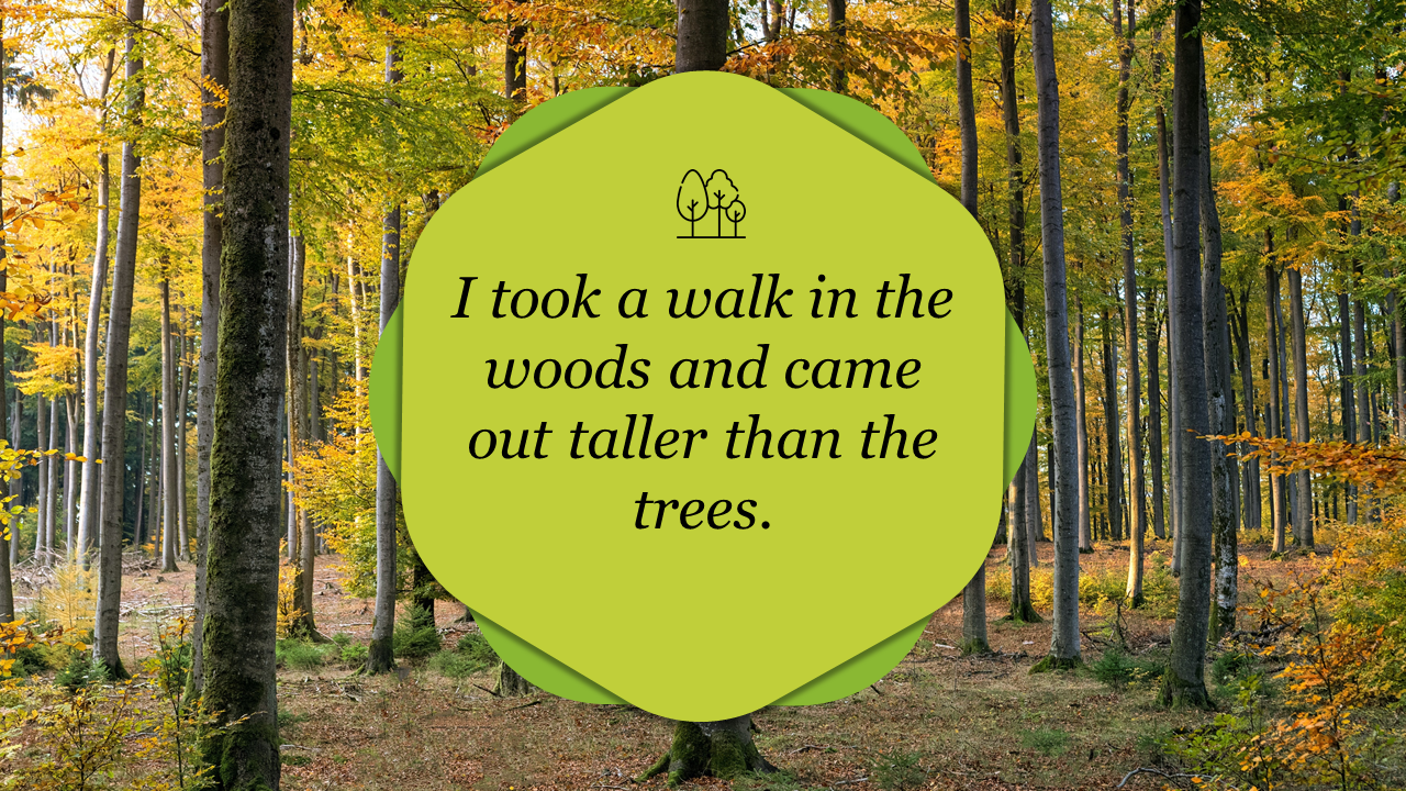 Inspirational quote on a green shape overlay against a background of tall trees in a forest.