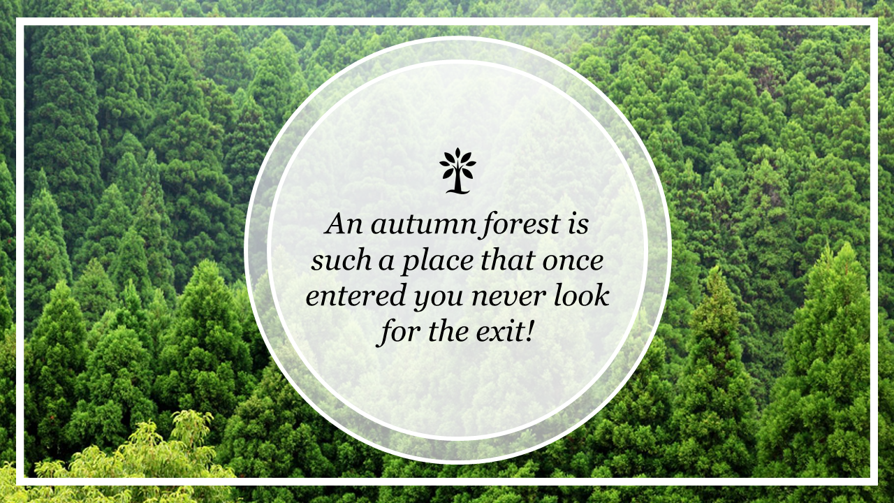 Inspirational quote about an autumn forest displayed in a circular overlay over a dense forest background.