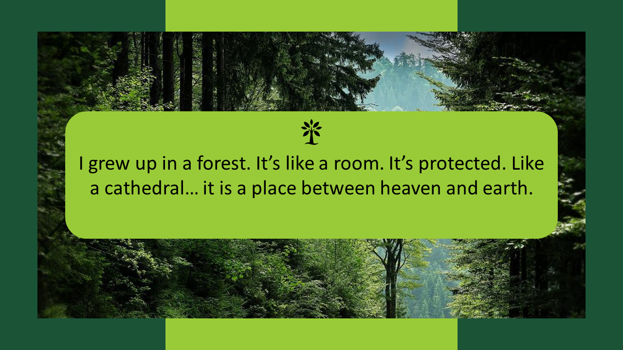 Forest-themed slide featuring a quote on a green box overlay, expressing the idea of the forest as a protective space.