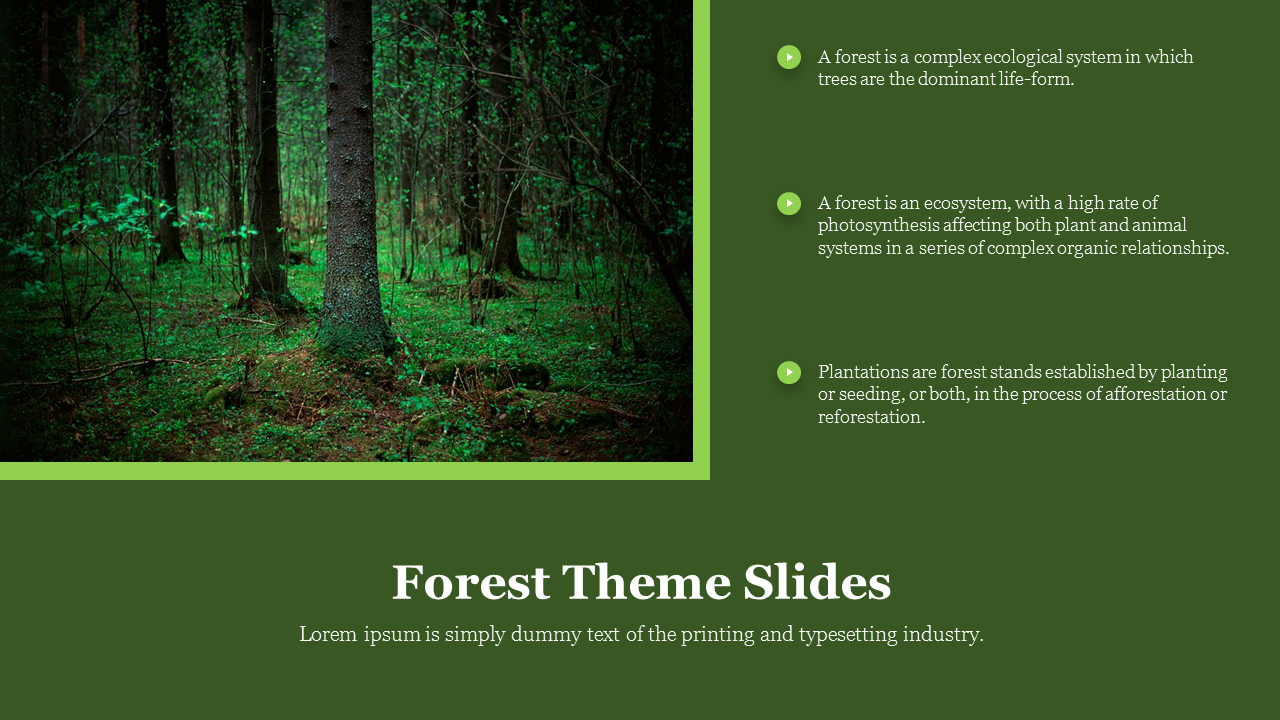 Forest with trees and green ground cover on the left, alongside three informational points about forests on the right.