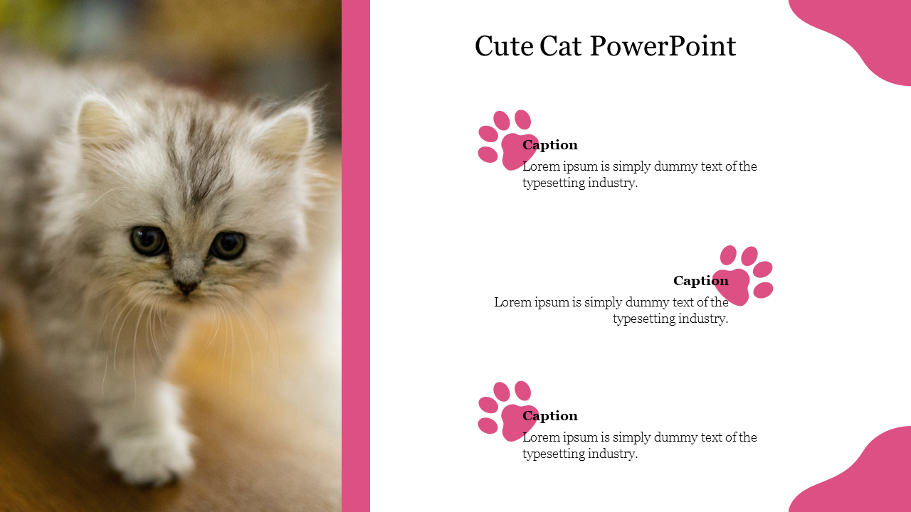 Cute cat PPT slide featuring a fluffy kitten and pink paw print graphics, with placeholders for captions.