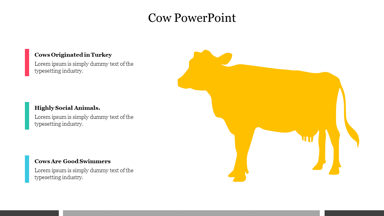 A colorful PowerPoint slide about cows, featuring a yellow silhouette of a cow and three interesting facts about them.