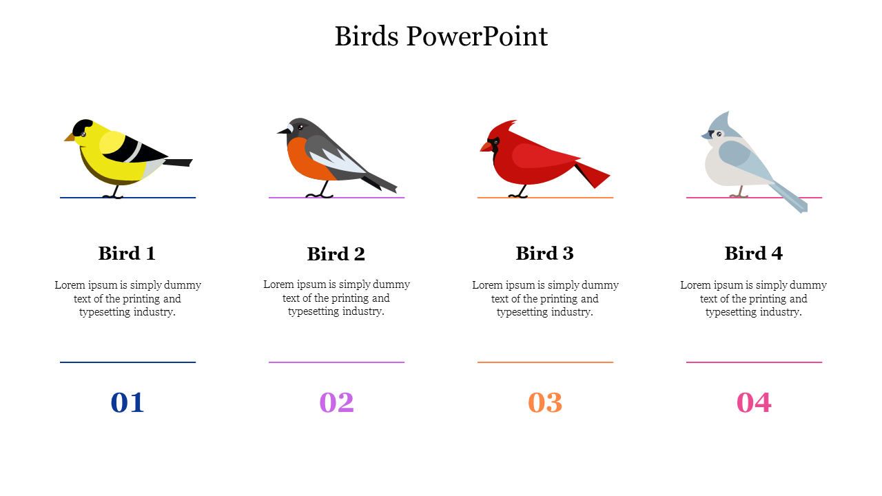 Four bird illustrations in a row with different colors: yellow, orange, red, and blue, each labeled with a number.