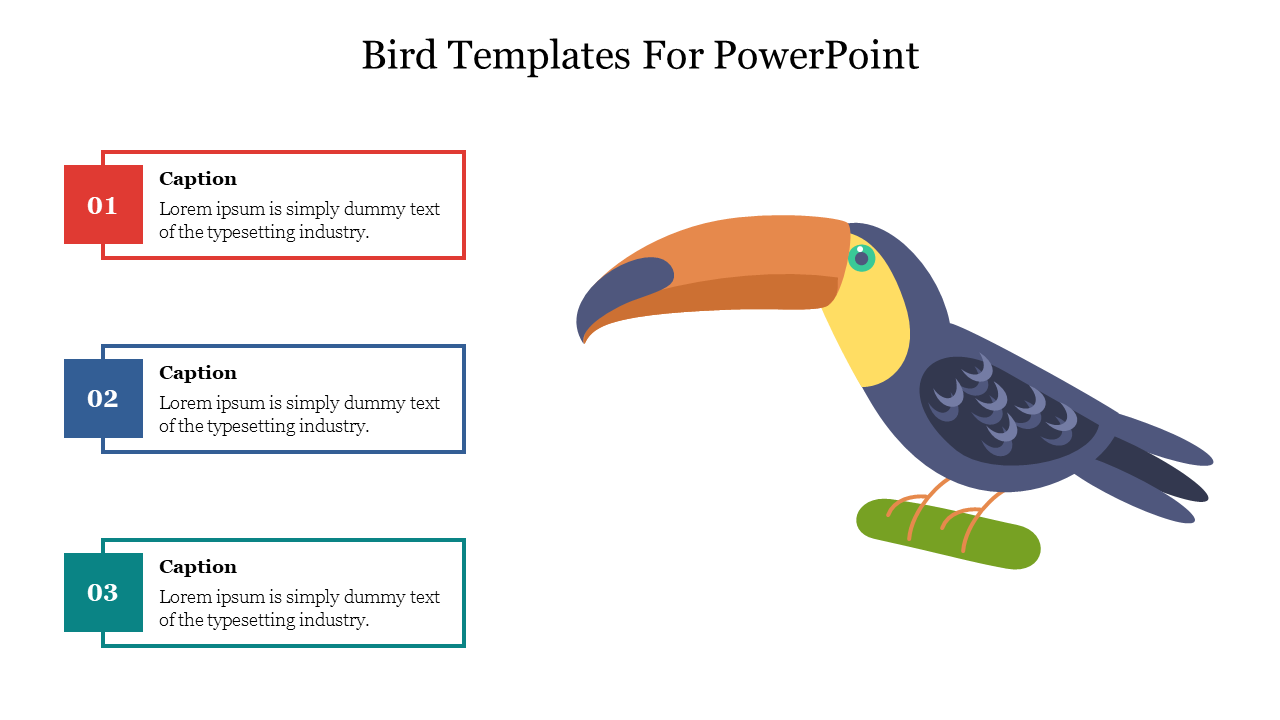 Illustration of a colorful toucan on a branch with three numbered caption boxes in red, blue, and green.