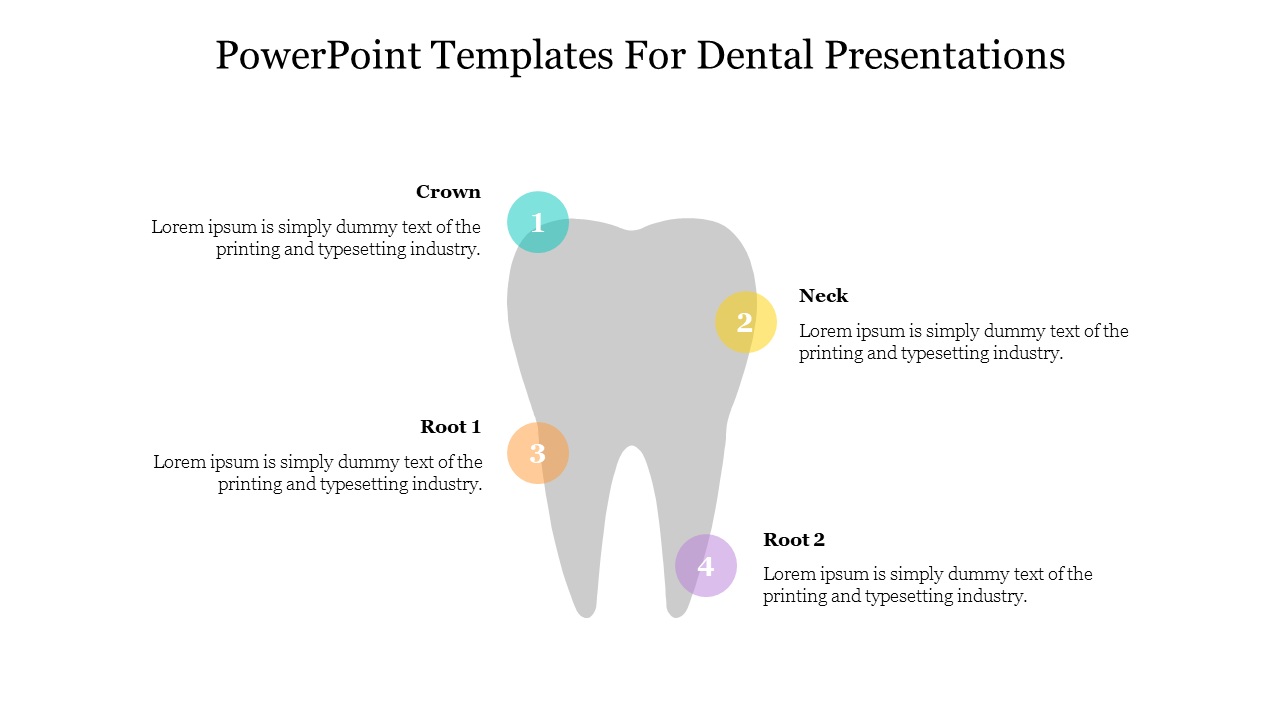 Dental PPT template illustrating different parts of a tooth crown, neck, and roots with placeholder text on a white theme.