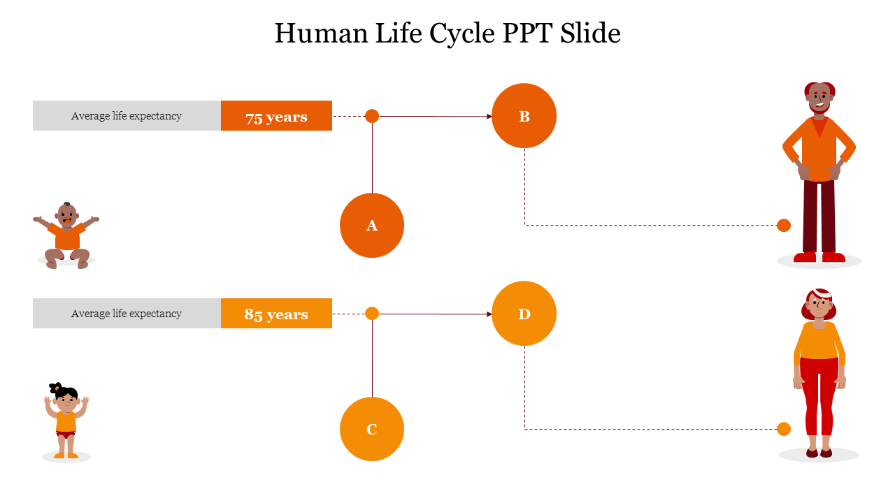 Human life cycle illustration with two paths showing different life expectancies, leading from infancy to old age.