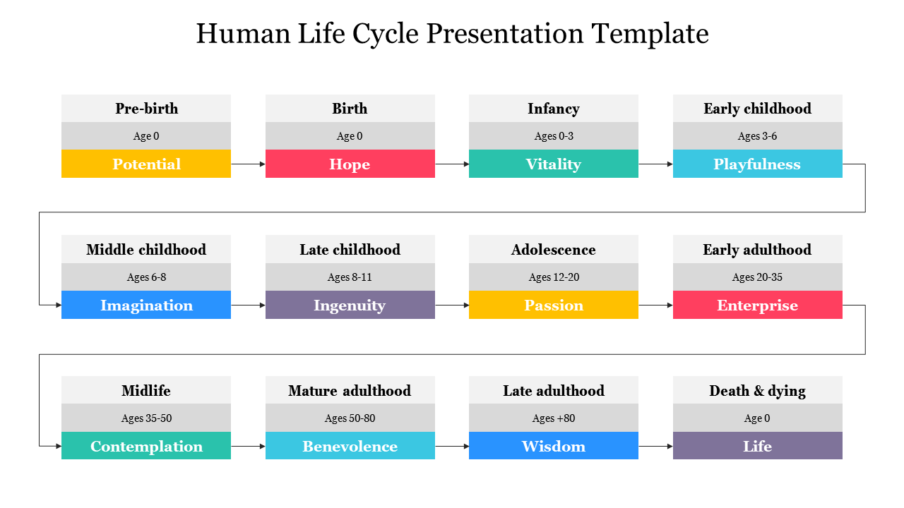 A flowchart showing stages of human life with labeled stages in colored boxes, connected by arrows across three rows.