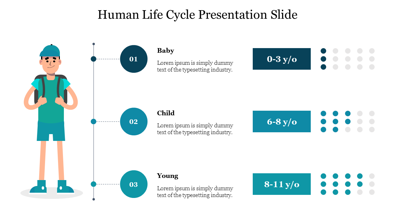 Human life cycle chart with a boy illustration and three timeline points marking age stages, shown in teal and white.