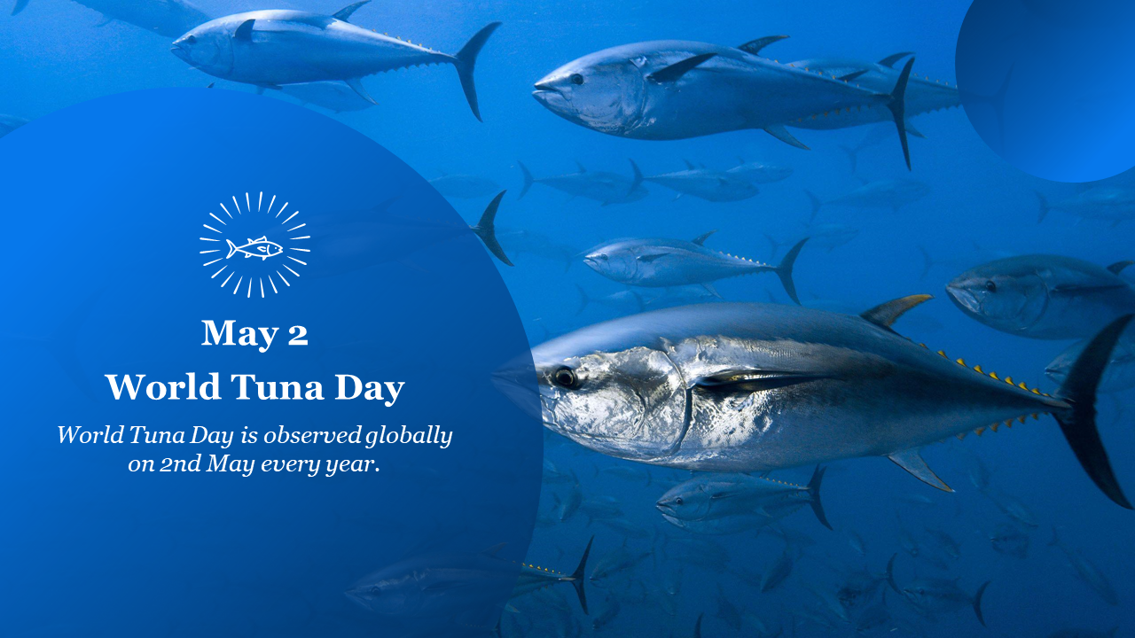 A school of tuna swimming in water with a circular blue overlay displaying World tuna day on May 2.