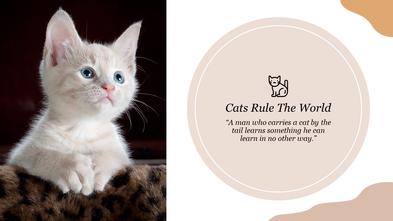 Adorable kitten with striking blue eyes, accompanied by a quote about cats ruling the world.