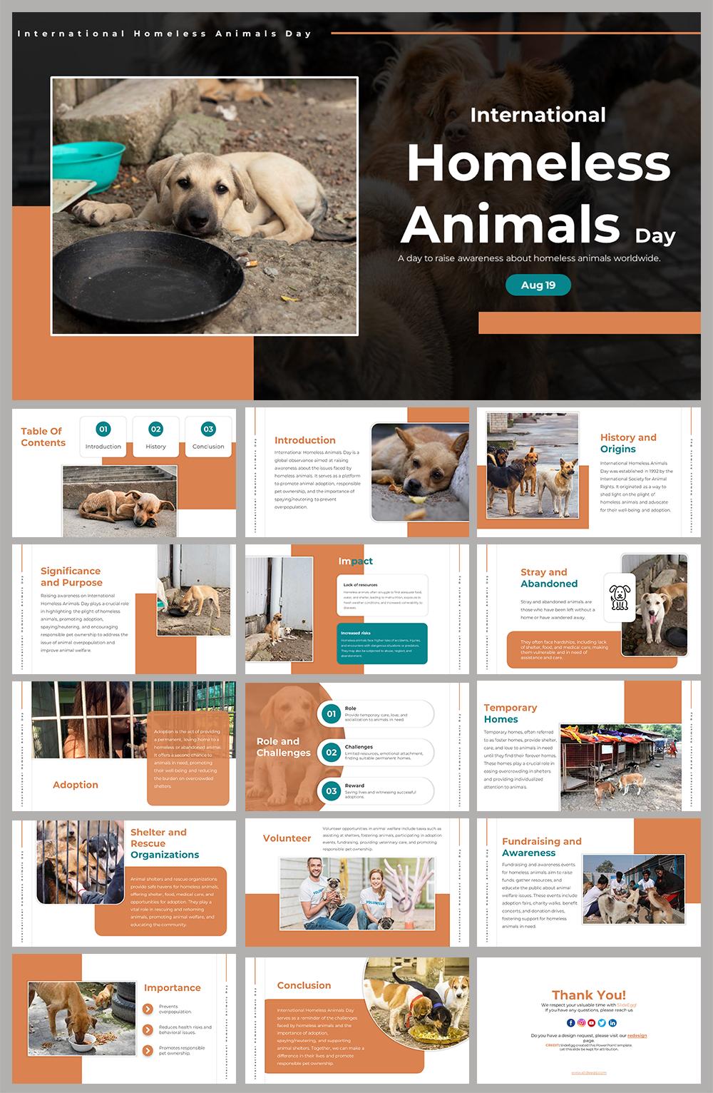 A pack of slides for homeless animals day, detailing the importance of shelter support, adoption processes, and volunteer.