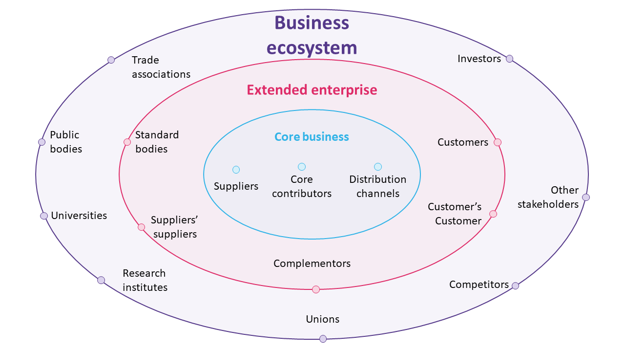 Three concentric ovals in purple, red, and blue, displaying a business ecosystem with core and external connections.