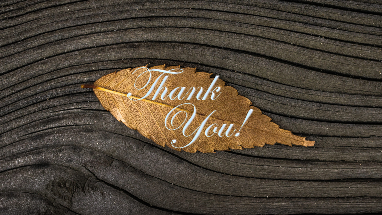 Golden leaf with the words Thank You placed on a textured wooden background.