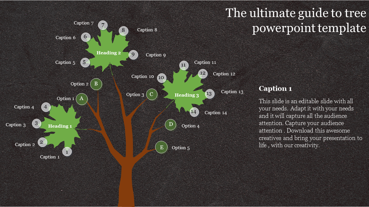 Tree infographic with three green branches, featuring numbered options, and text, on a dark background.