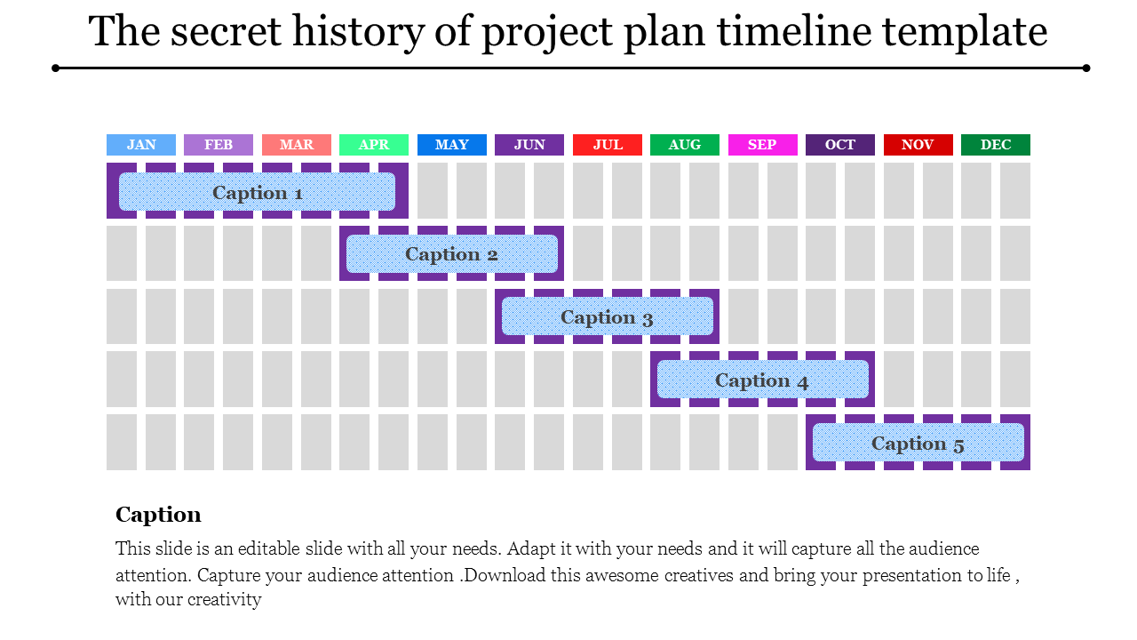 Gantt chart style timeline with months labeled and five staggered blue captions spanning January to December.