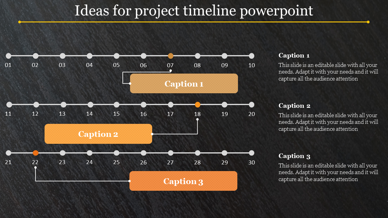 Project Timeline Powerpoint Slides