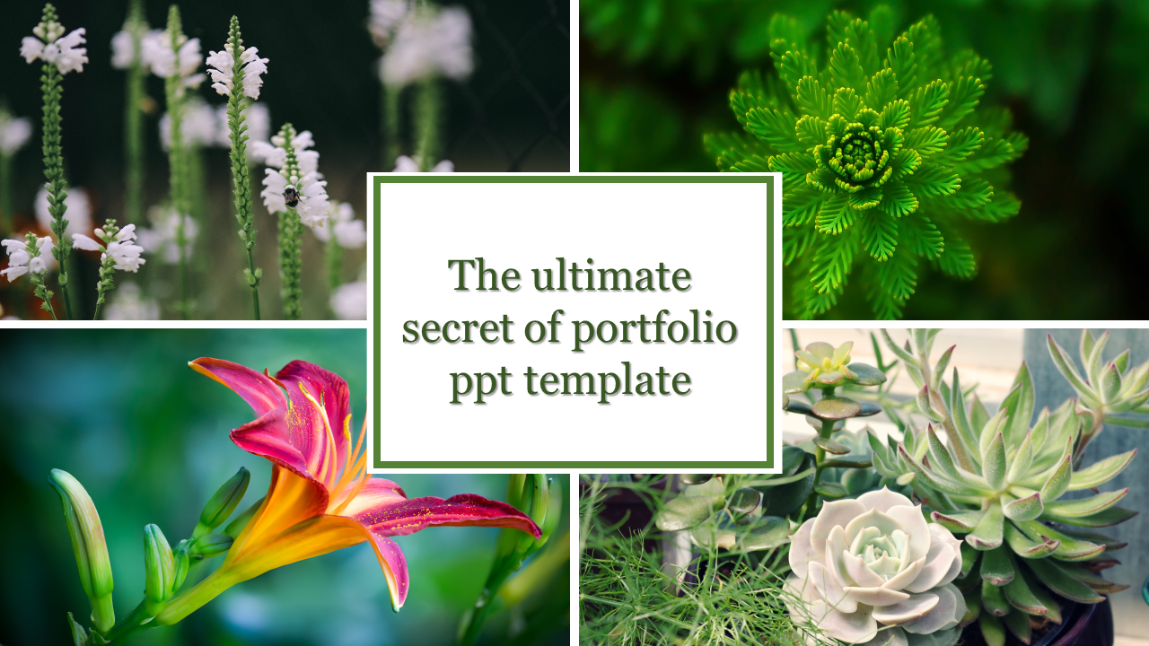 Portfolio slide with four images of white flowers, green leaves, a red lily, and succulent plants, and centered text box.