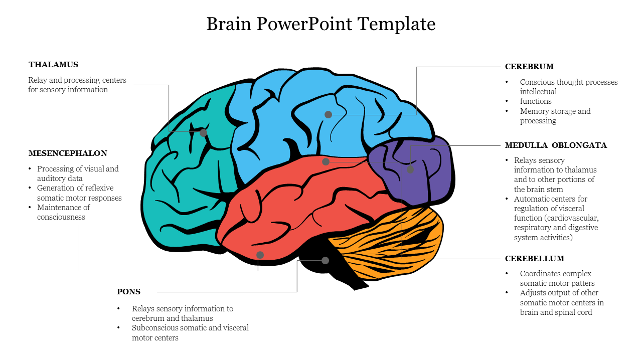 Illustration of a brain power divided into colored sections with placeholders for different brain regions and their functions.