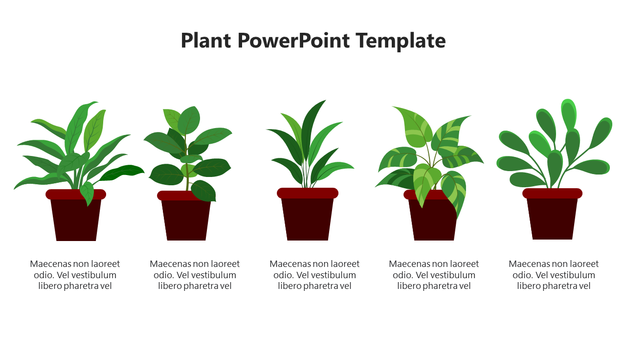Slide with five potted plants in a row, each with different green leaves and descriptions below.