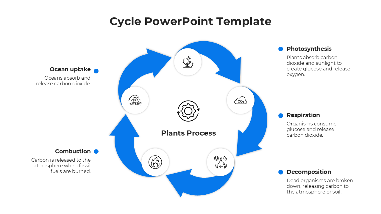 Blue cycle diagram in a PowerPoint template illustrating from ocean uptake to photosynthesis with icons and descriptions.