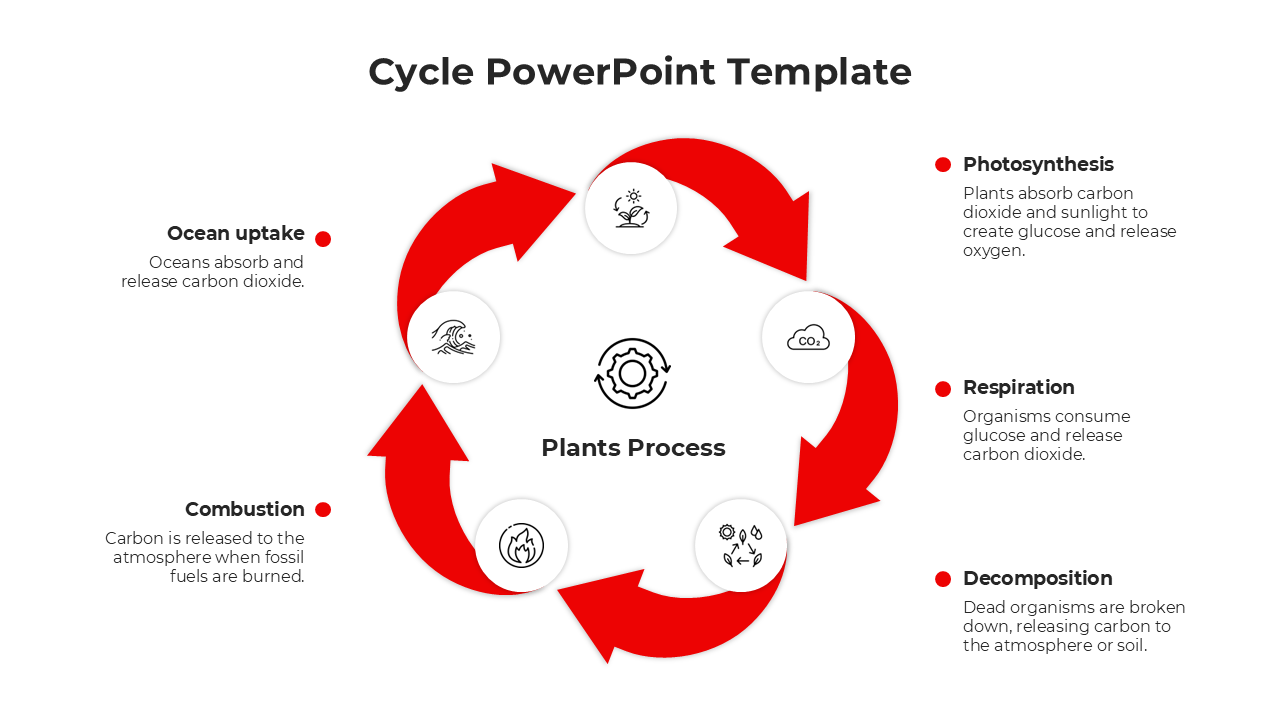 Creative Cycle PowerPoint And Google Slides Template