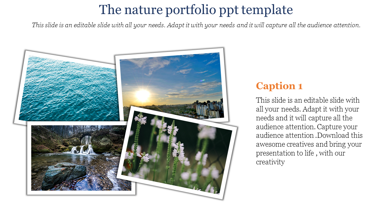 Nature themed portfolio PPT template featuring scenic images of water, sky, flowers, and waterfalls with placeholder text.