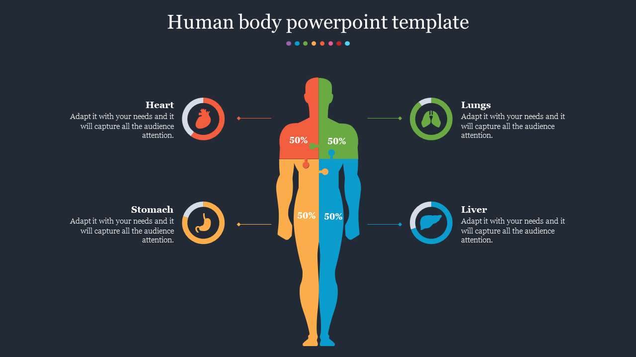 Human body PowerPoint slide with a multicolored silhouette and labeled organs heart, lungs, stomach, and liver with icons.