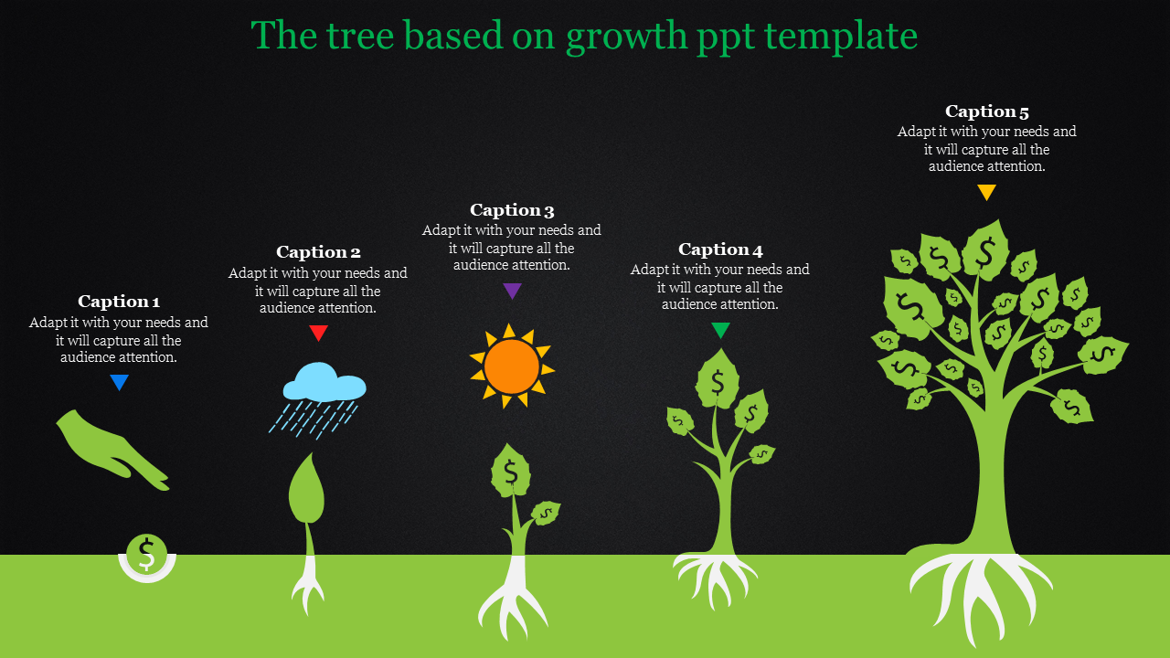 Growth infographic depicting the development from seed to tree, with each stage labeled with caption areas.