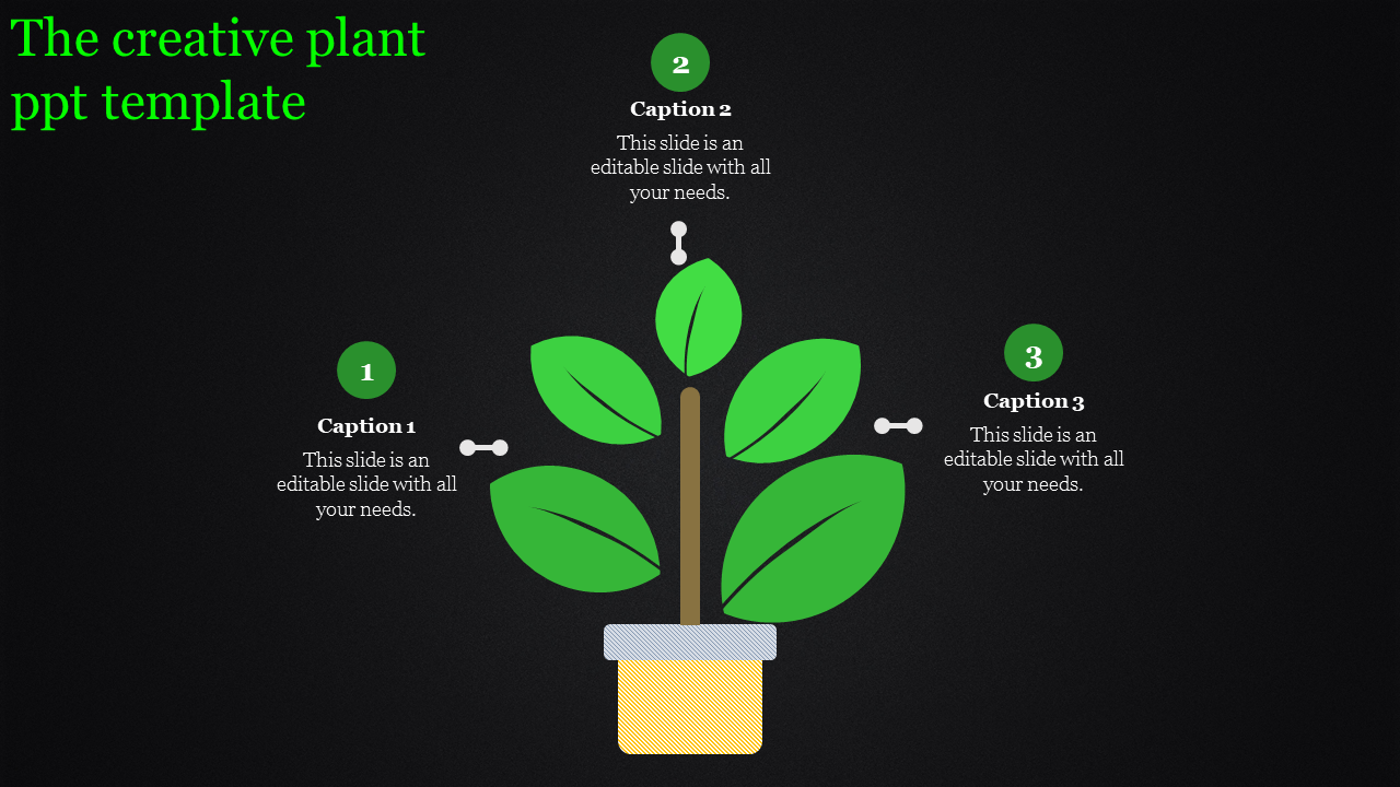 Creative plant-themed slide with a potted plant in the center, three green captions around it, and a black background.