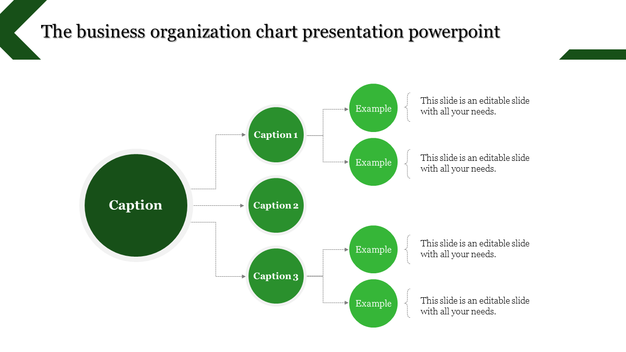 Organizational chart in green theme with a central caption branching into three sections, each containing example points.