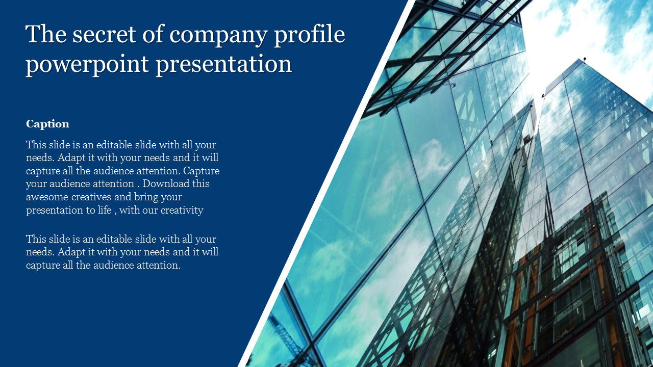 Company Profile PPT Presentation for Professional Branding