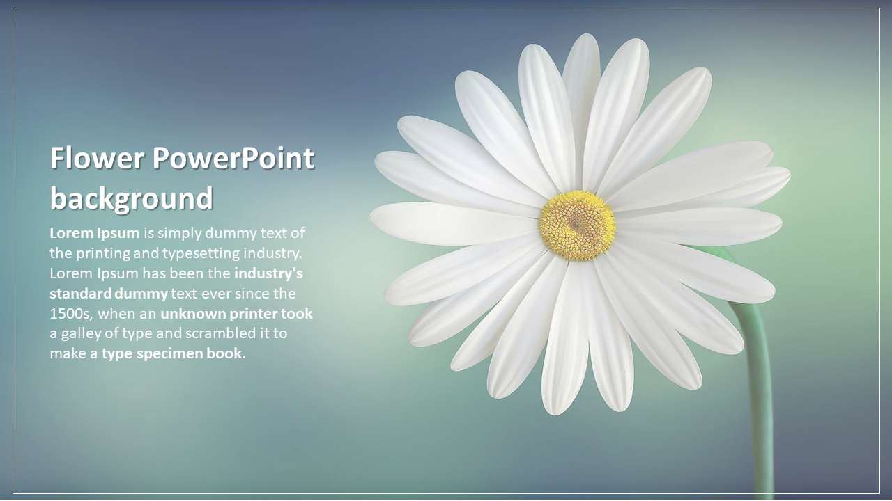 Daisy flower with white petals and a yellow center on a blue-green gradient background, with text on the left.