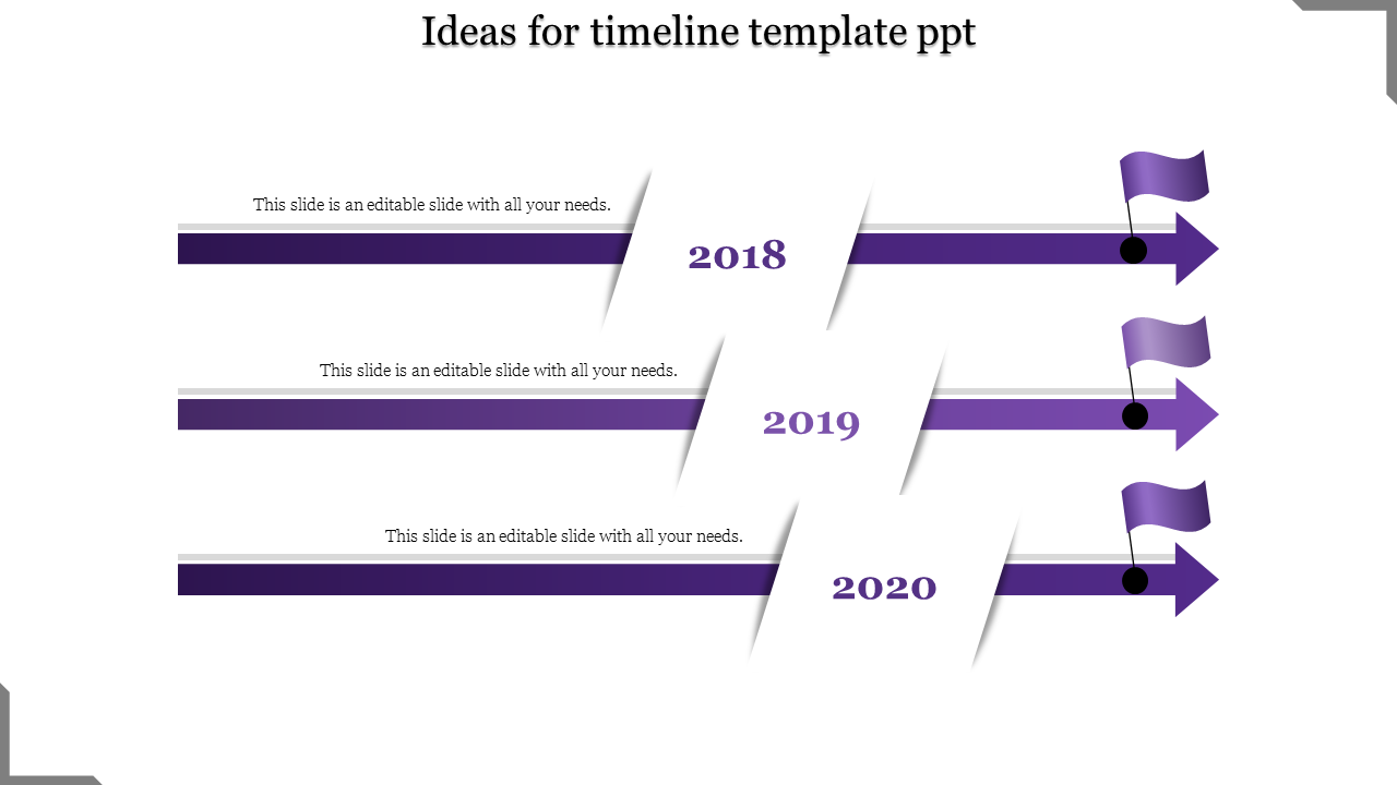 Purple themed horizontal timeline with three arrows, flags, and text boxes for years 2018, 2019, and 2020.