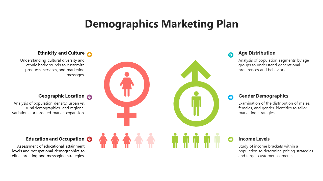 Creative Demographics Marketing Plan PPT And Google Slides