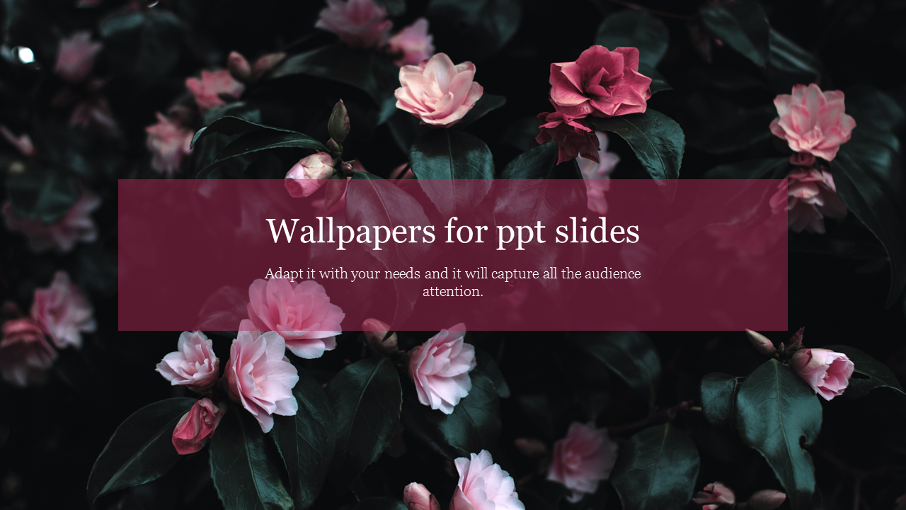 Effective Wallpapers For PPT Slides Template Design