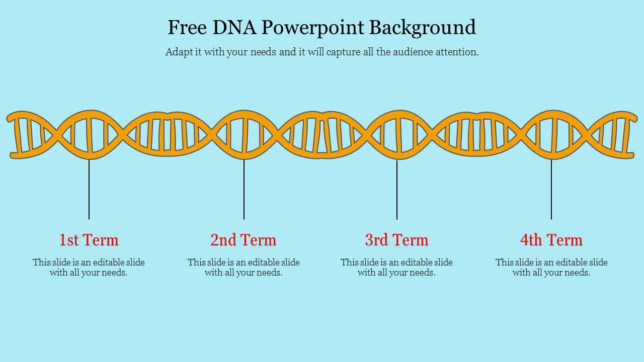 DNA strand illustration with four labeled sections below, each representing a term, on a light blue background.