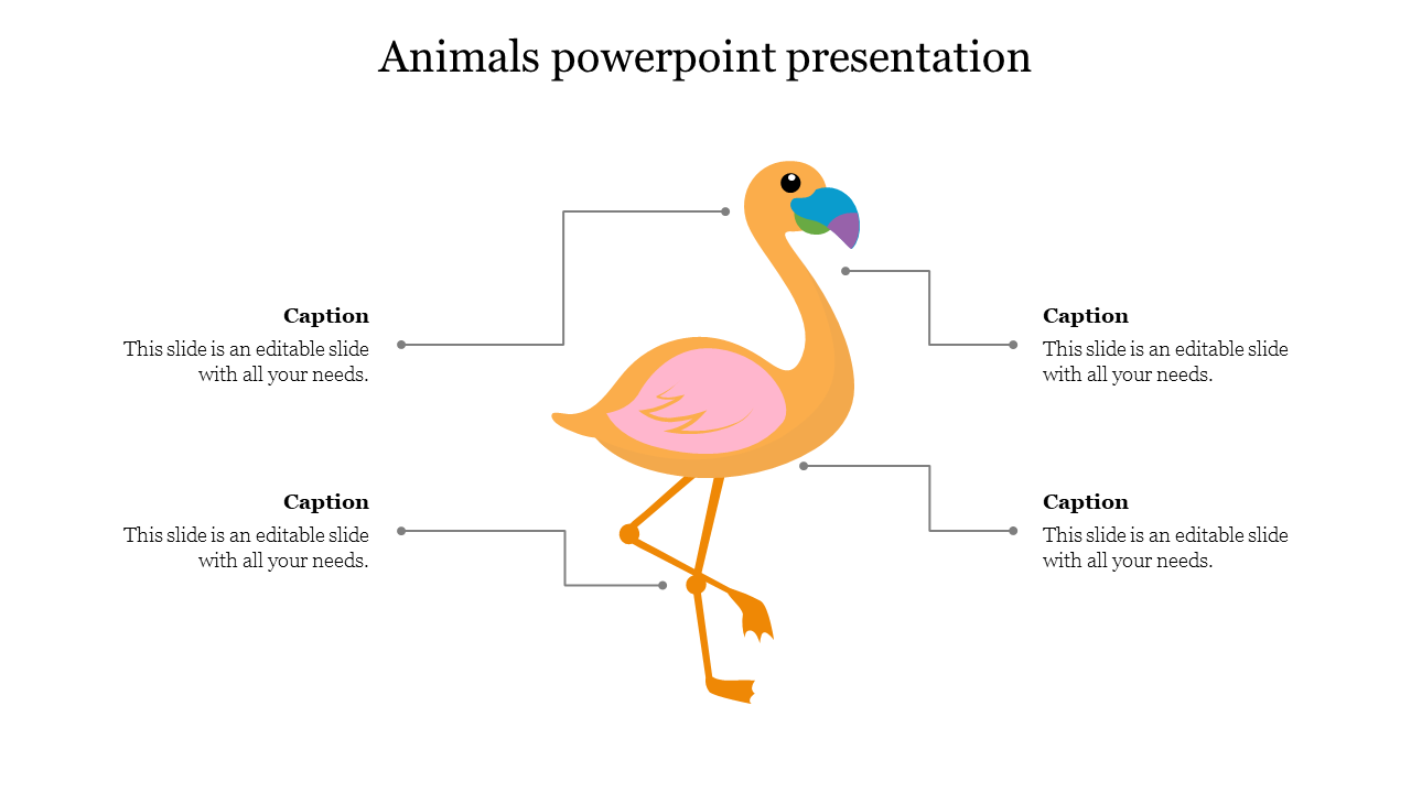 Illustrated flamingo with four labeled callouts connected to various body parts, each with captions.