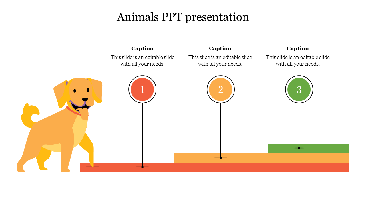 Dog illustration next to three color coded steps labeled 1 to 3 in circles, each with captions, arranged in ascending order.