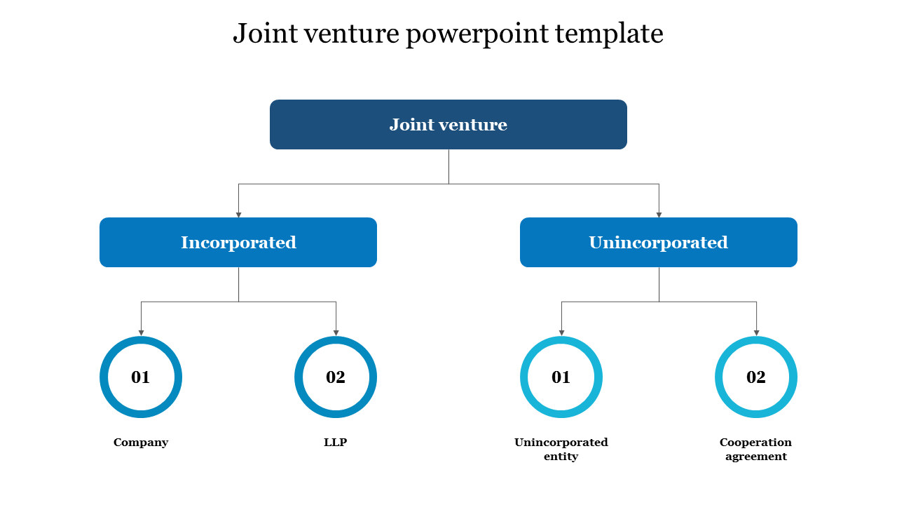 Hierarchy diagram with blue boxes and numbered circular nodes, illustrating joint venture types and subcategories.