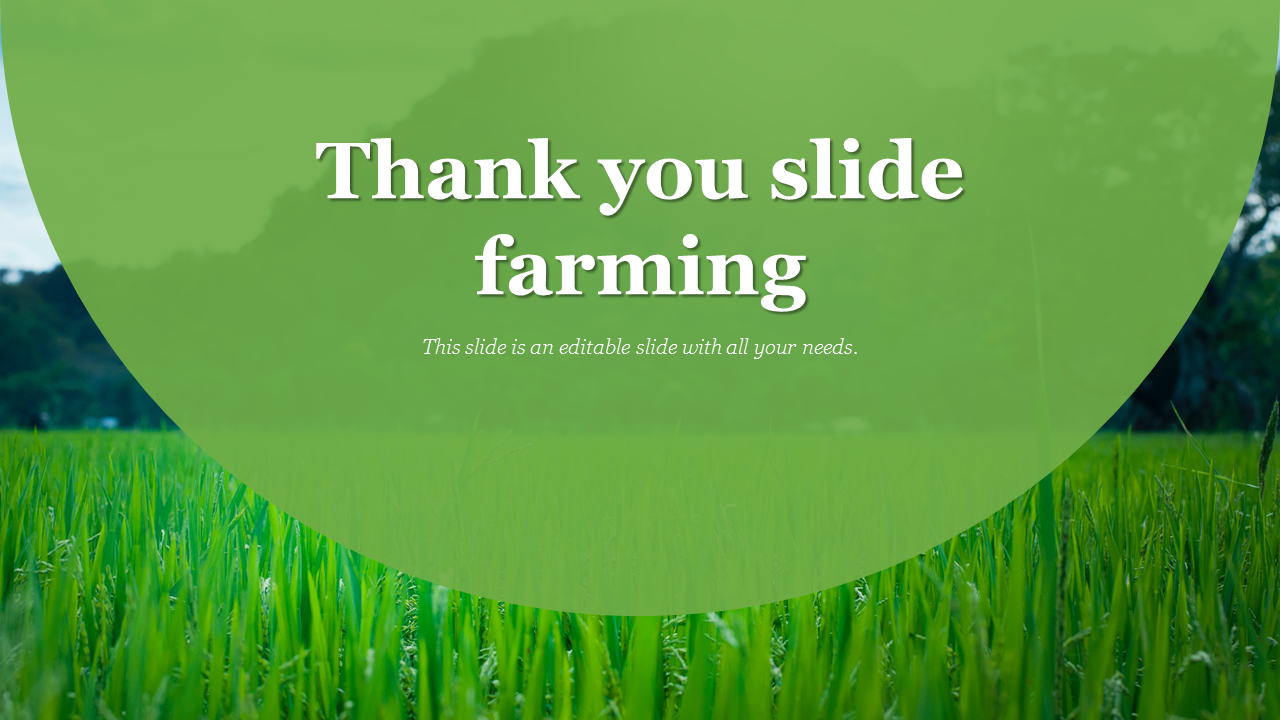 Thank you slide with the text overlay on a background of lush green rice fields and distant hills.