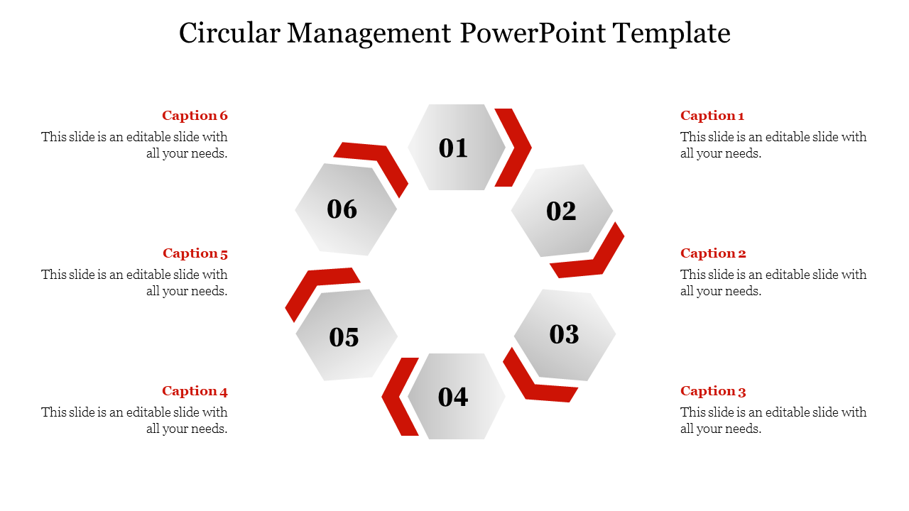 Hexagonal circular diagram with six steps labeled 01 to 06, each with captions on both sides for descriptions.