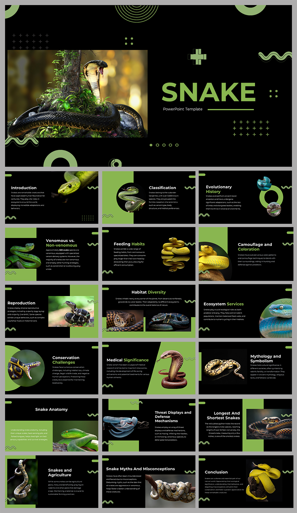 snake Google Slides Templates - Slide Members