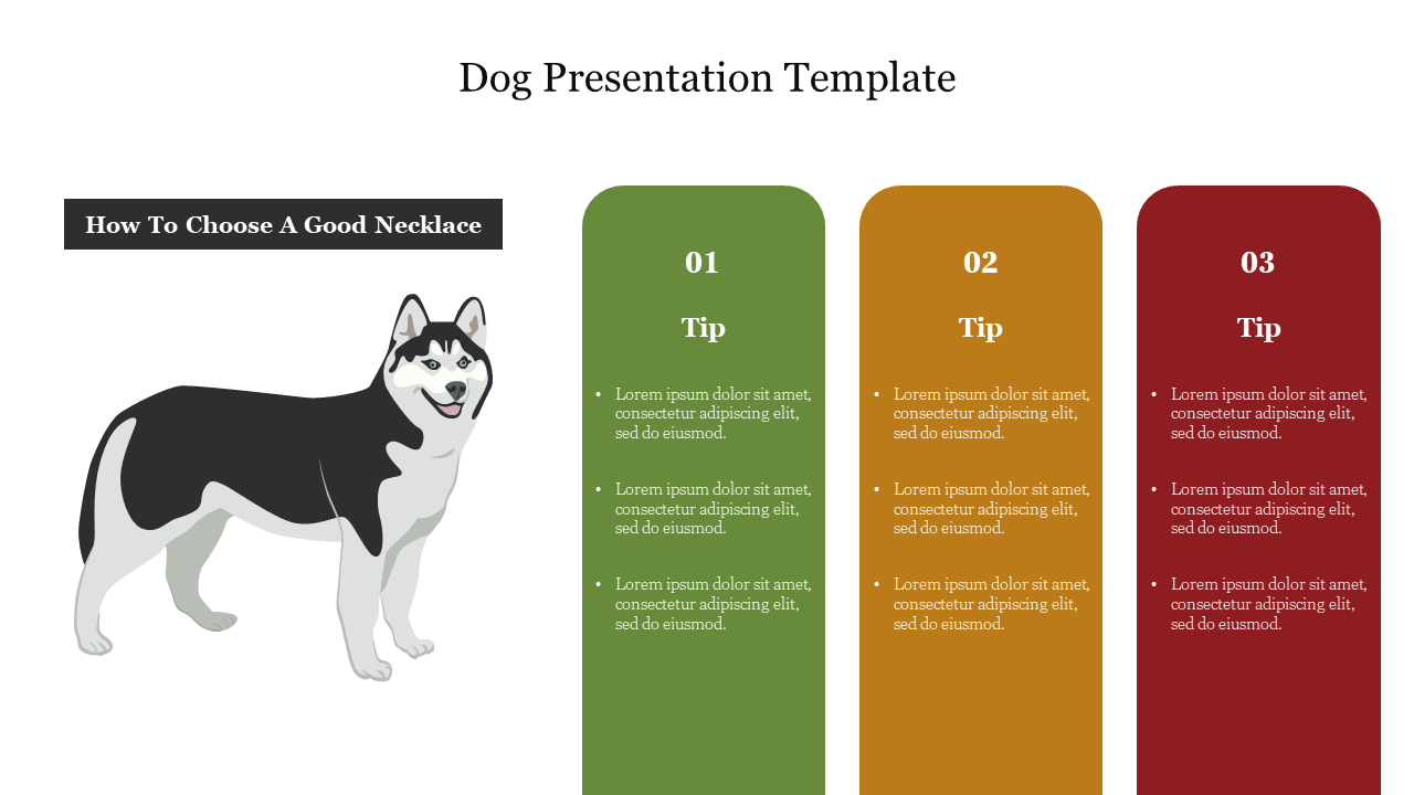 Dog presentation template with a three step guide on choosing a good necklace, illustrated by a Husky.