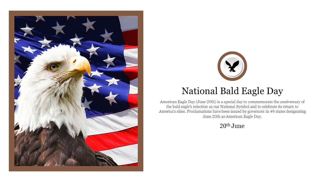 Bald eagle with a brown frame, placed against an American flag, with text and a round emblem on the right.