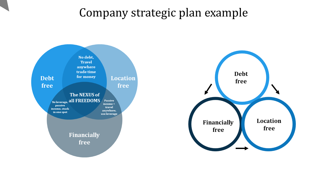 Get Company Strategic Plan Example PPT and Google Slides