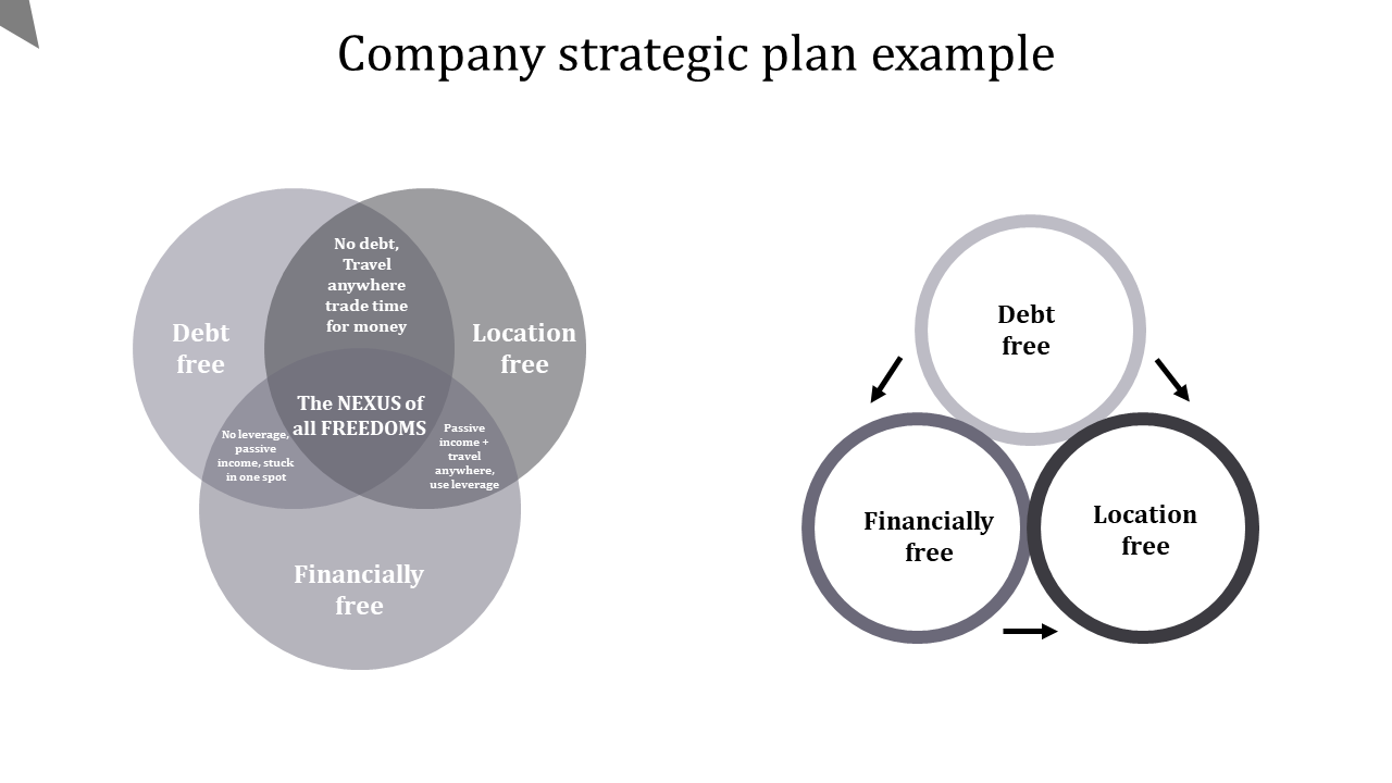 Download  Company Strategic Plan PPT and Google Slides